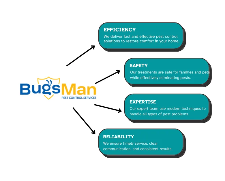 why-choose-BugsMan-for-pest-control-services