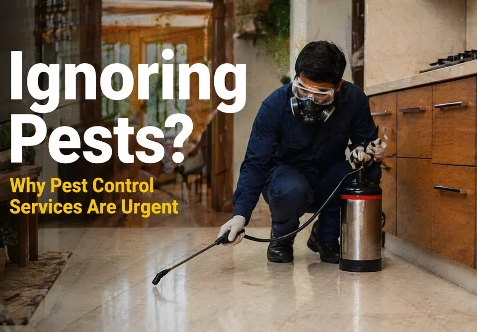 Pest control services in action