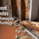 Prevent termites from damaging your home