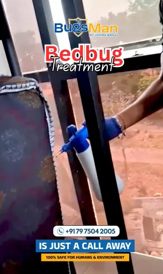 bed bug treatment image 1