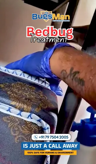 bed bug treatment image 2