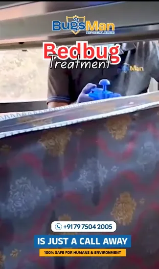 bed bug treatment image 3