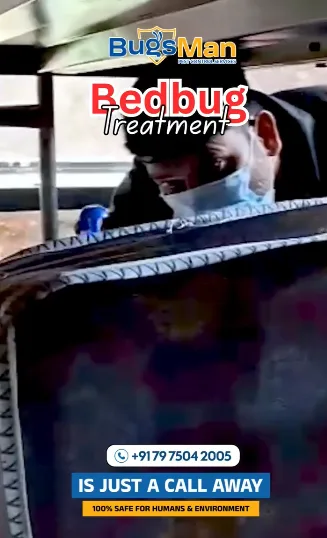 bed bug treatment image 4
